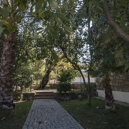 Villa Pure Life Pine Cedit